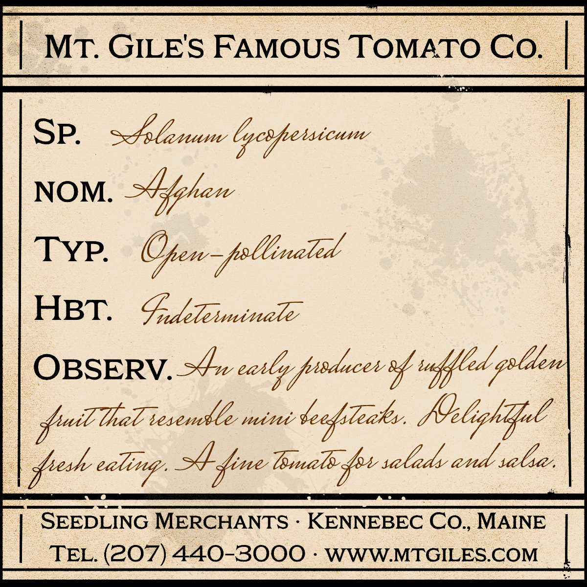 Depiction of a weathered vintage Mt. Gile's Famous Tomato Company specimen label with the following description:
Afghan - An early producer of ruffled golden fruit that resemble mini beefsteaks. Delightful fresh eating. A fine tomato for salads and salsa.