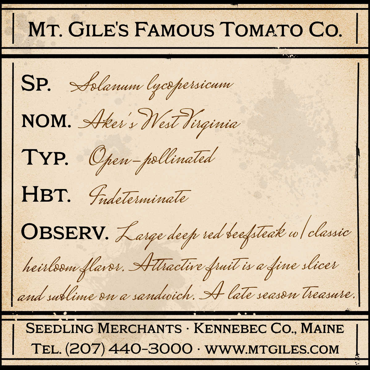 Depiction of a weathered vintage Mt. Gile's Famous Tomato Company specimen label with the following description:
Aker's West Virginia - Large deep red beefsteak with classic heirloom flavor. Attractive fruit is a fine slicer and sublime on a sandwich. A late season treasure.