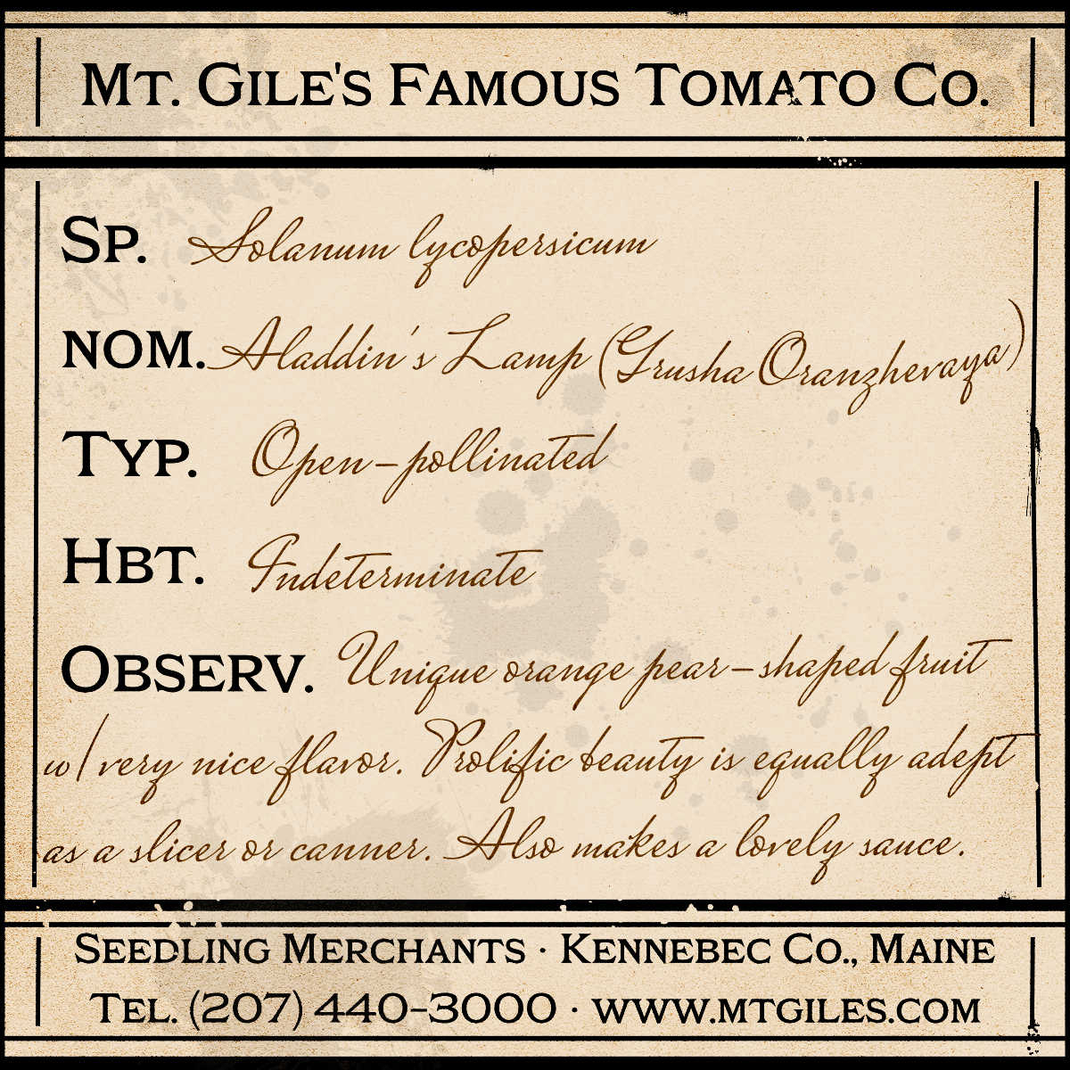 Depiction of a weathered vintage Mt. Gile's Famous Tomato Company specimen label with the following description:
Aladdin's Lamp - Unique orange pear-shaped fruit with very nice flavor. Prolific beauty is equally adept as a slicer or canner. Also makes a lovely sauce.