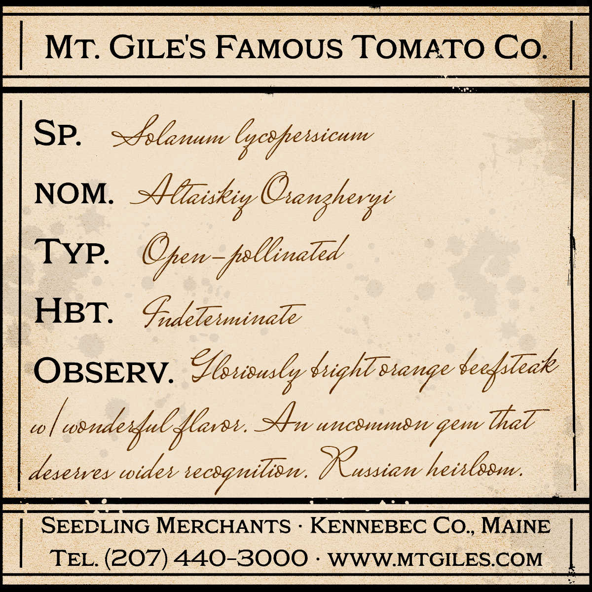 Depiction of a weathered vintage Mt. Gile's Famous Tomato Company specimen label with the following description:
Altaiskiy Oranzhevi - Gloriously bright orange beefsteak with wonderful flavor. An uncommon gem that deserves wider recognition. Russian heirloom.