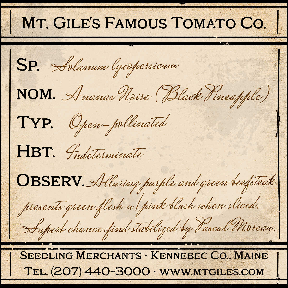 Depiction of a weathered vintage Mt. Gile's Famous Tomato Company specimen label with the following description:
Ananas Noire - Alluring purple and green beefsteak presents green flesh with pink blush when sliced. Superb chance find stabilized by Pascal Moreau.
