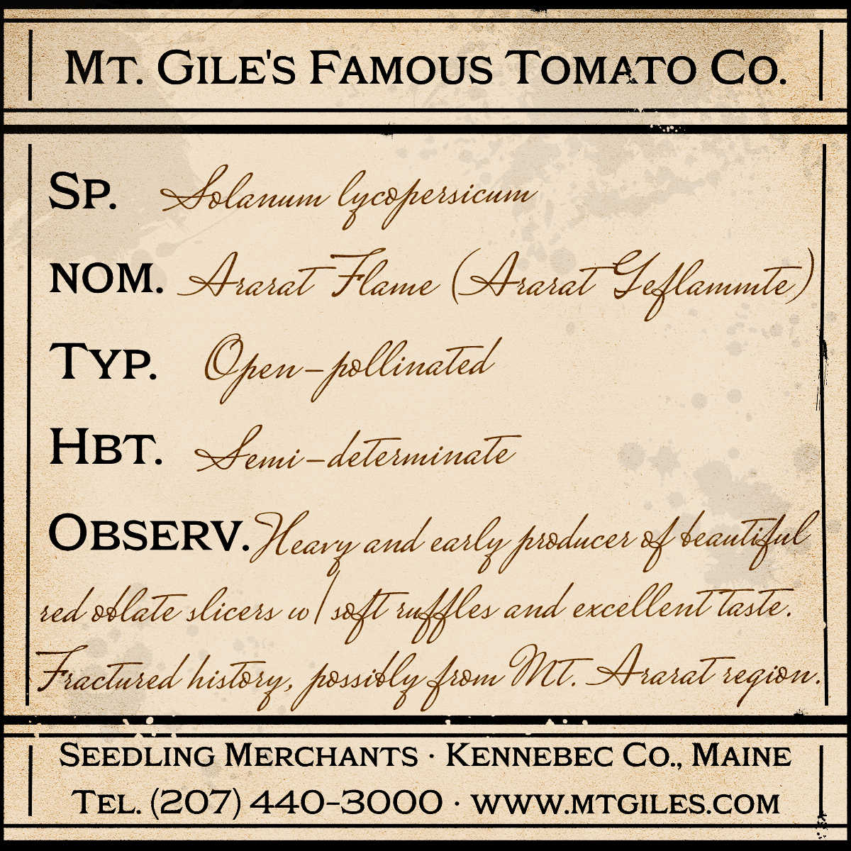 Depiction of a weathered vintage Mt. Gile's Famous Tomato Company specimen label with the following description:
Ararat Flame - Heavy and early producer of beautiful red oblate slicers with soft ruffles and excellent taste. Fractured history, possibly from Mt. Ararat region.
