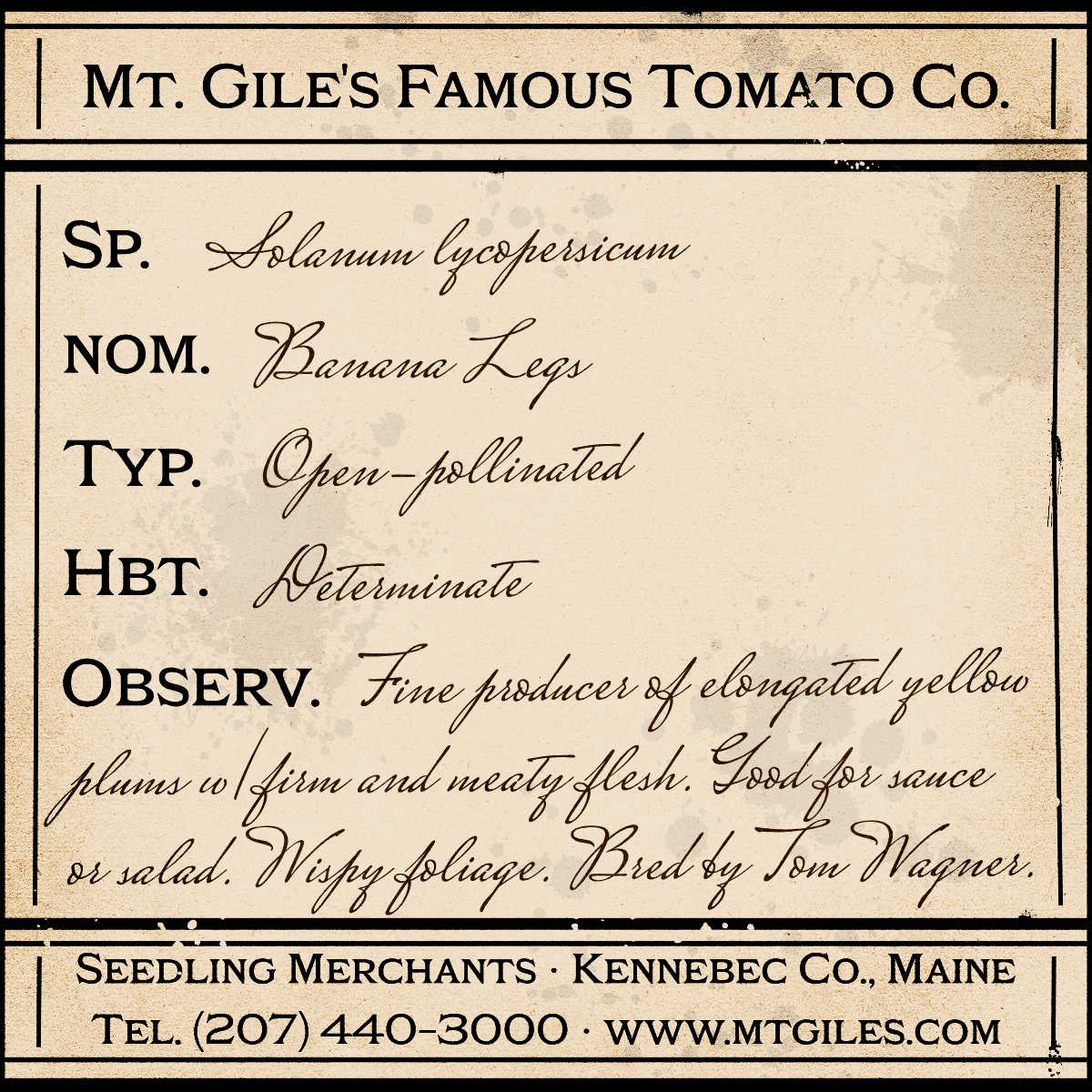 Depiction of a weathered vintage Mt. Gile's Famous Tomato Company specimen label with the following description:
Banana Legs - Fine producer of elongated yellow plums with firm and meaty flesh. Good for sauce or salad. Wispy foliage. Bred by Tom Wagner.