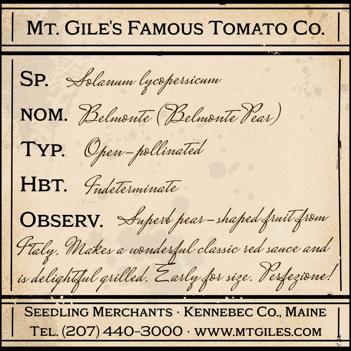 Depiction of a weathered vintage Mt. Gile's Famous Tomato Company specimen label with the following description:
Belmonte Pear - Superb pear-shaped fruit from Italy. Makes a wonderful classic red sauce and is delightful grilled. Early for size. Perfezione!