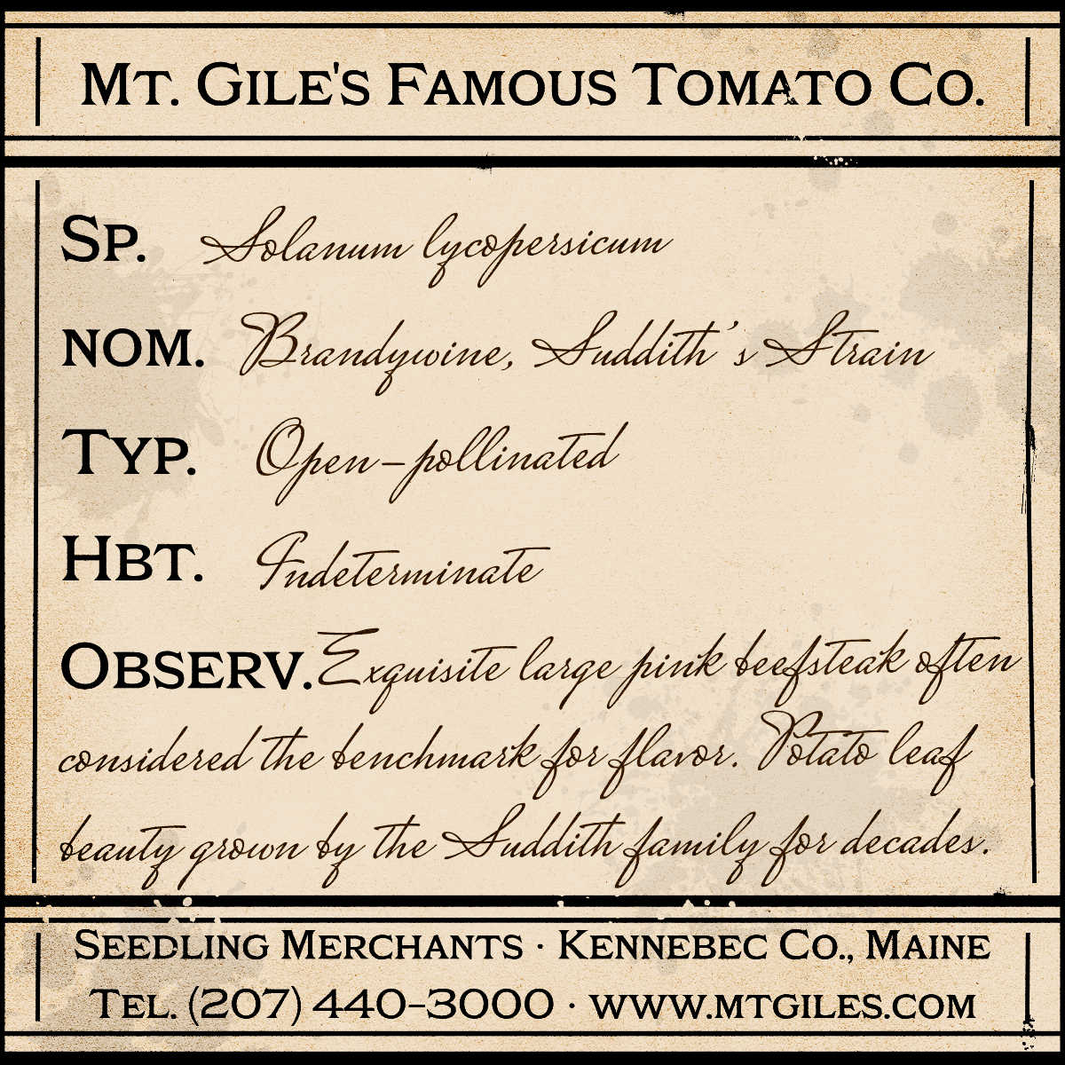 Depiction of a weathered vintage Mt. Gile's Famous Tomato Company specimen label with the following description:
Brandywine, Suddith's Strain - Exquisite large pink beefsteak often considered the benchmark for flavor. Potato leaf beauty grown by the Suddith family for decades.