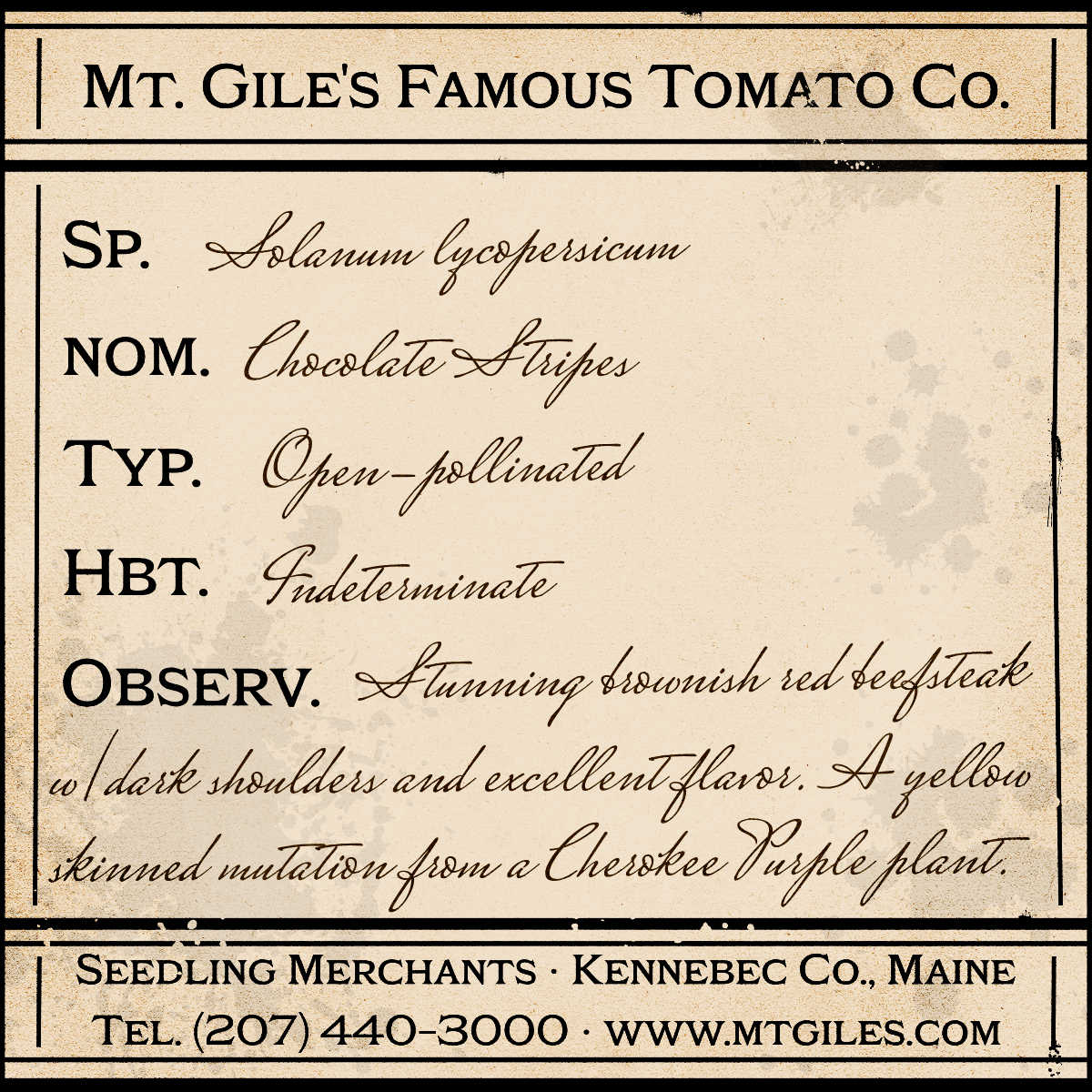 Depiction of a weathered vintage Mt. Gile's Famous Tomato Company specimen label with the following description:
Chocolate Stripes - Stunning brownish red beefsteak with dark shoulders and excellent flavor. A yellow skinned mutation from a Cherokee Purple plant.