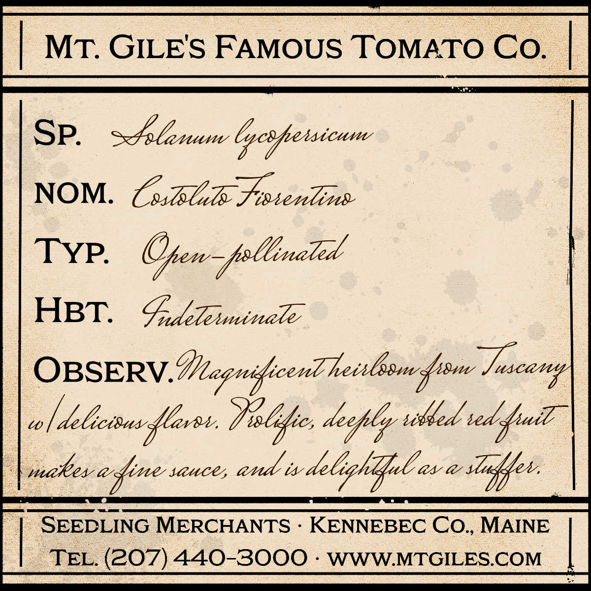 Depiction of a weathered vintage Mt. Gile's Famous Tomato Company specimen label with the following description:
Costoluto Fiorentino - Magnificent heirloom from Tuscany with delicious flavor. Prolific, deeply ribbed red fruit makes a fine sauce, and is delightful as a stuffer.