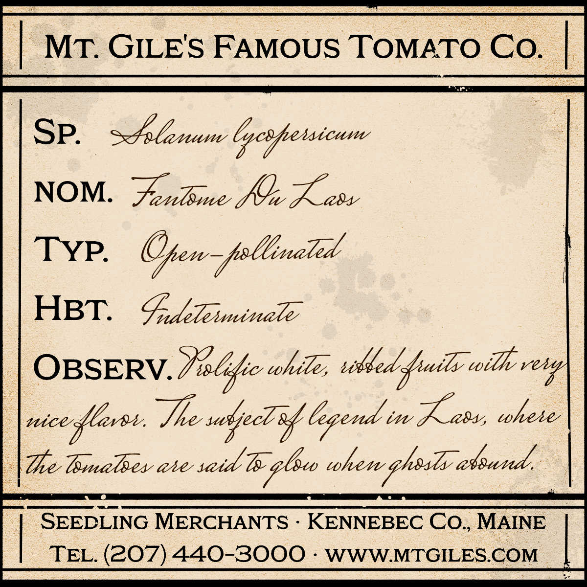 Depiction of a weathered vintage Mt. Gile's Famous Tomato Company specimen label with the following description:
Fantome Du Laos - Prolific white, ribbed fruits with very nice flavor. The subject of legend in Laos, where the tomatoes are said to glow when ghosts abound.