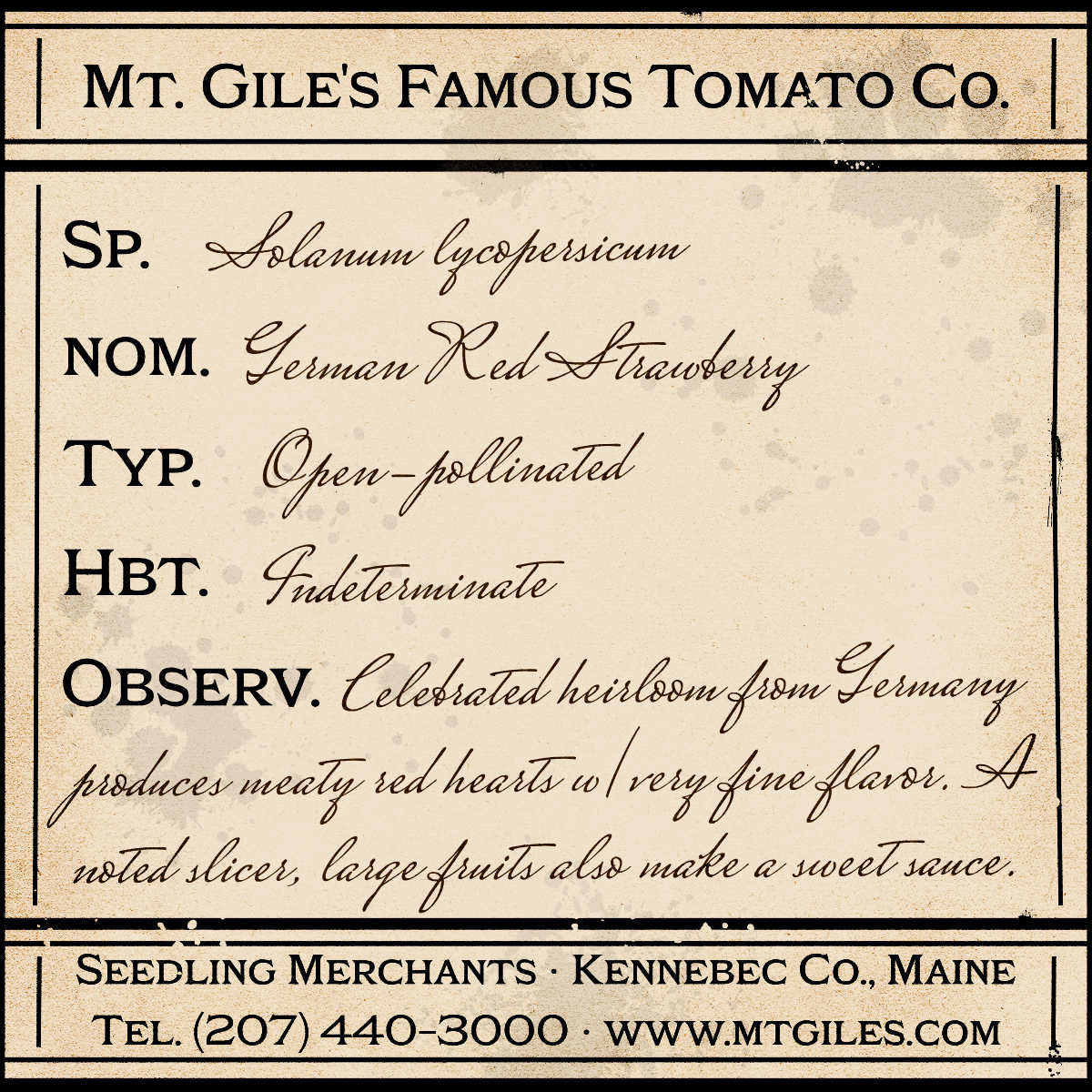 Depiction of a weathered vintage Mt. Gile's Famous Tomato Company specimen label with the following description:
German Red Strawberry - Celebrated heirloom from Germany produces meaty red hearts with very fine flavor. A noted slicer, large fruits also make a sweet sauce.
