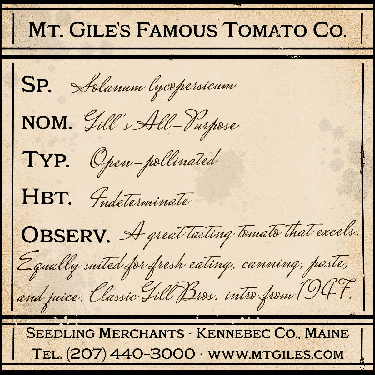 Depiction of a weathered vintage Mt. Gile's Famous Tomato Company specimen label with the following description:
Gill's All-Purpose - A great tasting tomato that excels. Equally suited for fresh eating, canning, paste, and juice. Classic Gill Bros. intro from 1947.