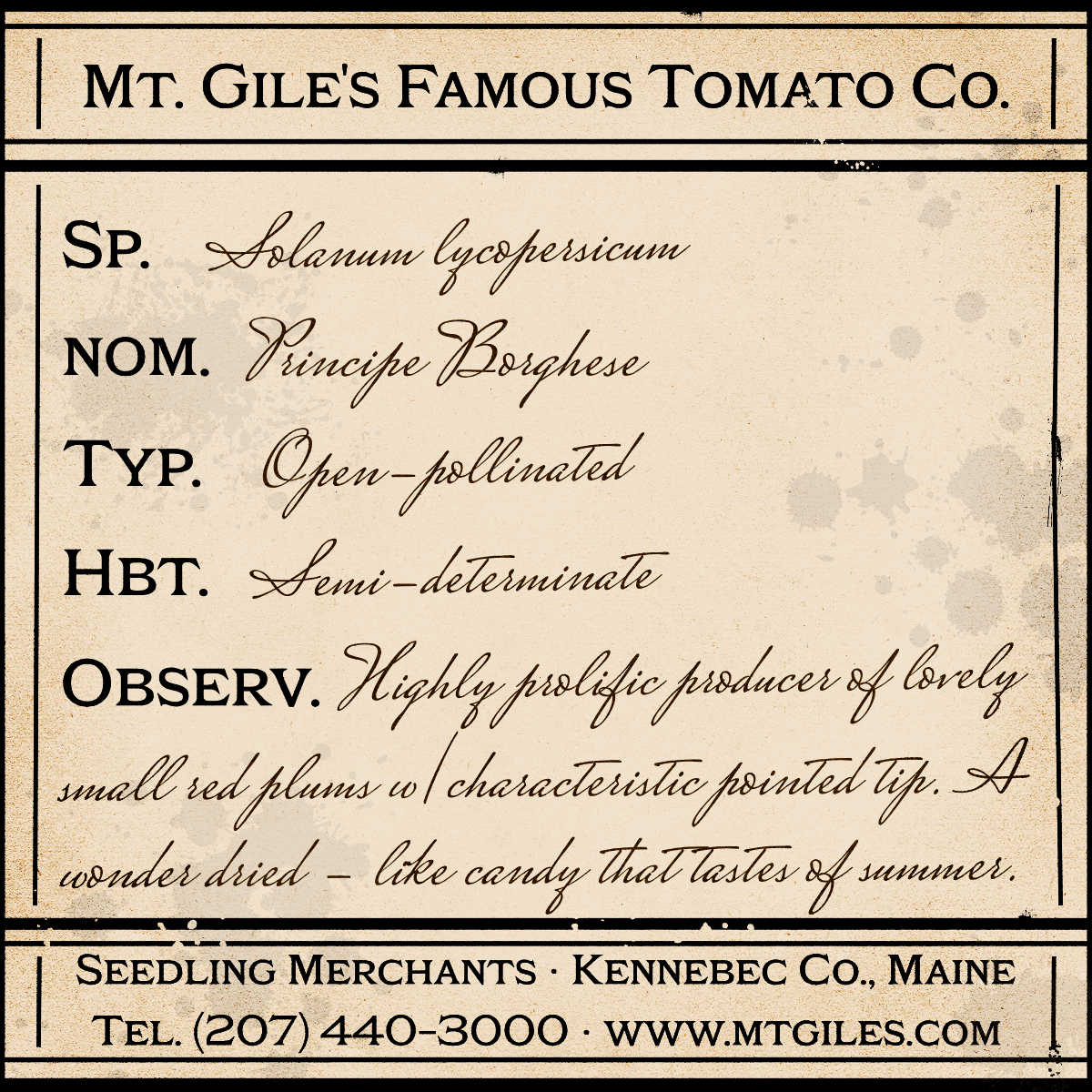 Depiction of a weathered vintage Mt. Gile's Famous Tomato Company specimen label with the following description:
Principe Borghese - Highly prolific producer of lovely small red plums with characteristic pointed tip. A wonder dried - like candy that tastes of summer.