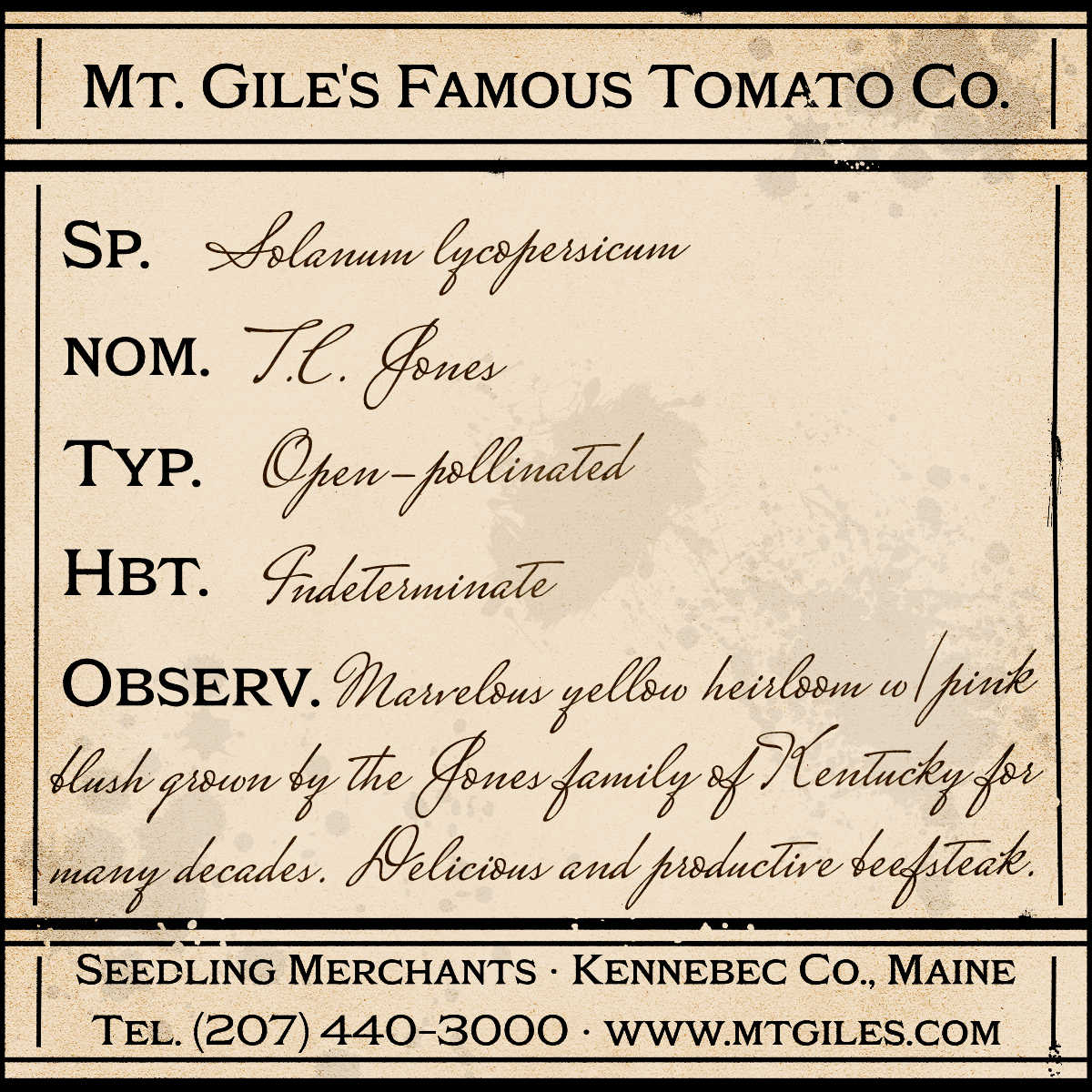 Depiction of a weathered vintage Mt. Gile's Famous Tomato Company specimen label with the following description:
T.C. Jones - Depiction of a weathered vintage Mt. Gile's Famous Tomato Company specimen label with the following description:
Marvelous yellow heirloom with pink blush grown by the Jones family of Kentucky for many decades. Delicious and productive beefsteak.