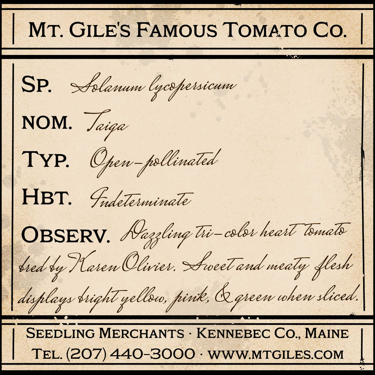 Depiction of a weathered vintage Mt. Gile's Famous Tomato Company specimen label with the following description:
Taiga - Dazzling tri-color heart tomato bred by Karen Olivier. Sweet and meaty flesh displays bright yellow, pink, and green when sliced.