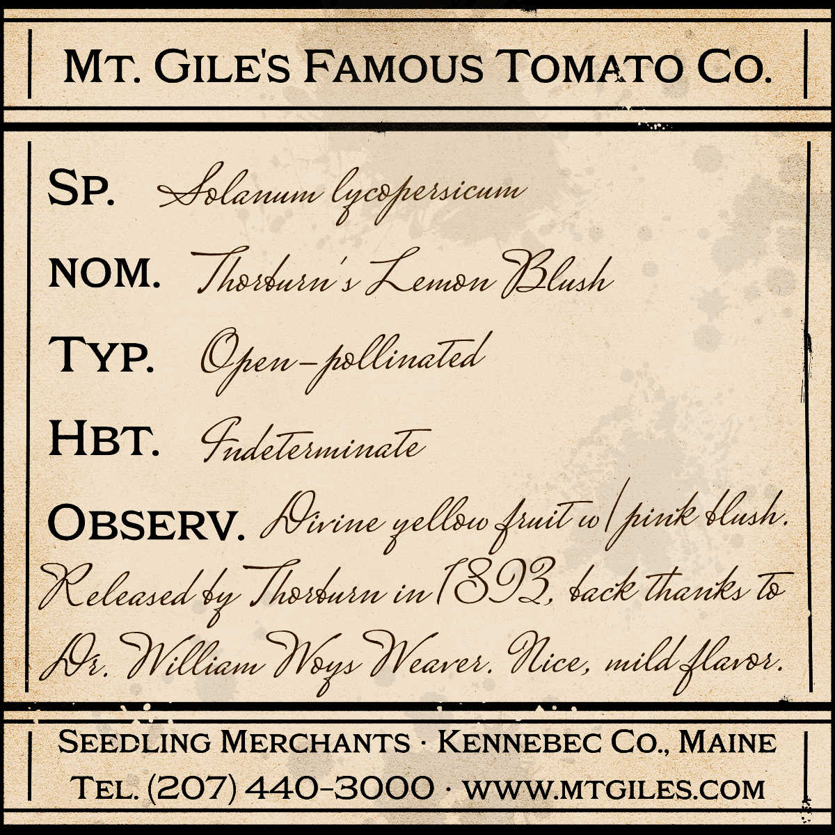 Depiction of a weathered vintage Mt. Gile's Famous Tomato Company specimen label with the following description:
Thorburn's Lemon Blush - Divine yellow fruit with pink blush. Released by Thorburn in 1893, back thanks to Dr. William Woys Weaver. Nice, mild flavor.