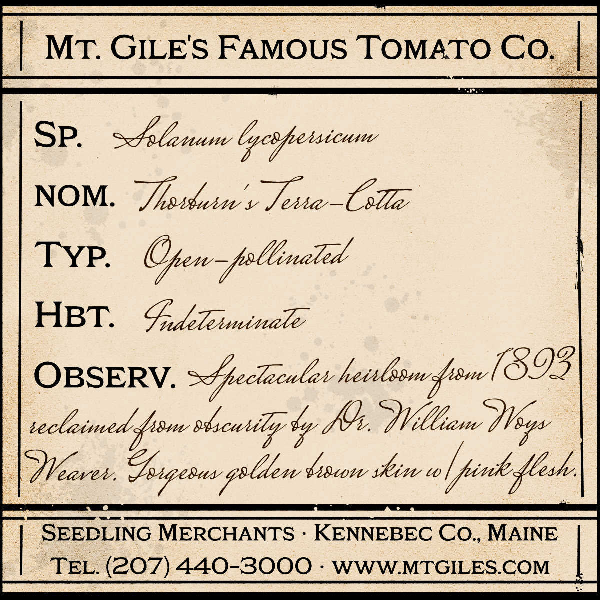 Depiction of a weathered vintage Mt. Gile's Famous Tomato Company specimen label with the following description:
Thorburn's Terra-Cotta - Spectacular heirloom from 1893 reclaimed from obscurity by Dr. William Woys Weaver. Gorgeous golden brown skin with pink flesh.