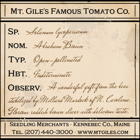 Depiction of a weathered vintage Mt. Gile's Famous Tomato Company specimen label with the following description: 

Abraham Brown - A wonderful gift from the bees stabilized by Millard Murdock of North Carolina. Glorious reddish brown slicer with delicious taste.