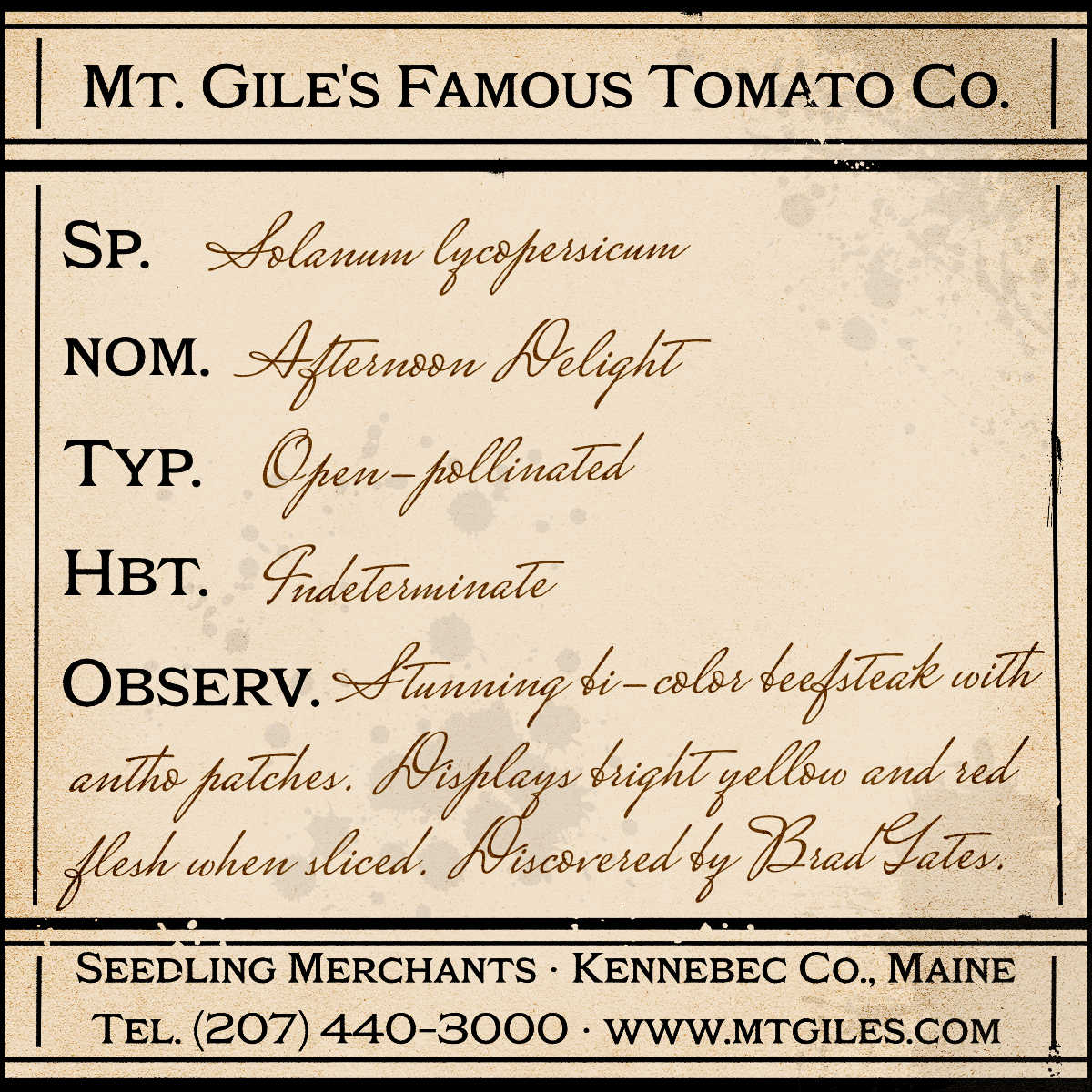 Depiction of a weathered vintage Mt. Gile's Famous Tomato Company specimen label with the following description: 

Afternoon Delight - Stunning bi-color beefsteak with anthocyanin patches. Displays bright yellow and red flesh when sliced. Discovered by Brad Gates.