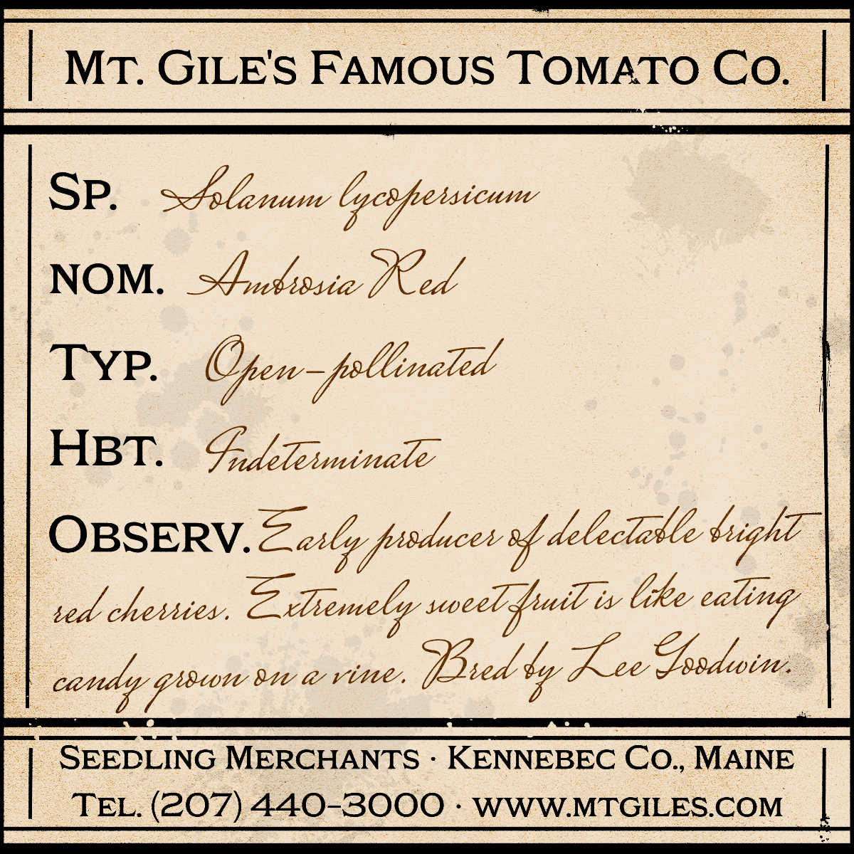 Depiction of a weathered vintage Mt. Gile's Famous Tomato Company specimen label with the following description: 

Ambrosia Red - Early producer of delectable bright red cherries. Extremely sweet fruit is like eating candy grown on a vine. Bred by Lee Goodwin.