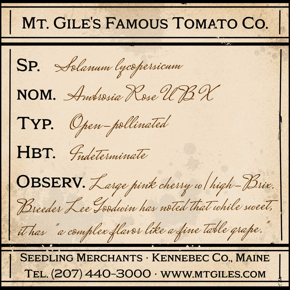 Depiction of a weathered vintage Mt. Gile's Famous Tomato Company specimen label with the following description: 

Ambrosia Rose UBX - Large pink cherry with high-Brix. Breeder Lee Goodwin has noted that while sweet, it has "a complex flavor like a fine table grape."