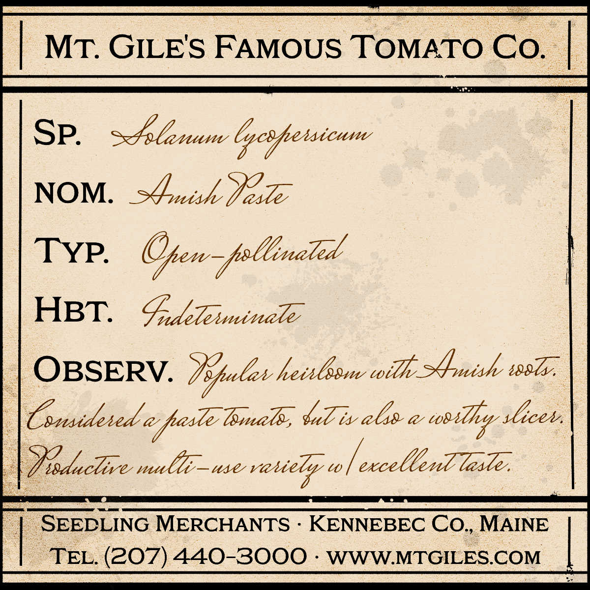 Depiction of a weathered vintage Mt. Gile's Famous Tomato Company specimen label with the following description: 

Amish Paste - Popular heirloom with Amish roots. Considered a paste tomato, but is also a worthy slicer. Productive multi-use variety with excellent taste.