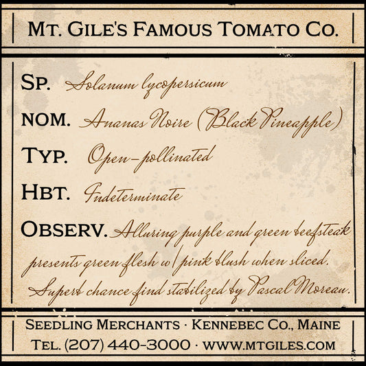 Depiction of a weathered vintage Mt. Gile's Famous Tomato Company specimen label with the following description: 

Ananas Noire - Alluring purple and green beefsteak presents green flesh with pink blush when sliced. Superb chance find stabilized by Pascal Moreau.