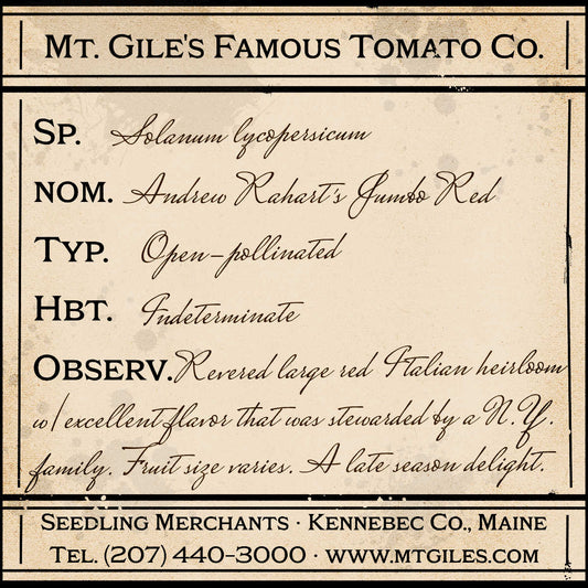 Depiction of a weathered vintage Mt. Gile's Famous Tomato Company specimen label with the following description: 

Andrew Rahart's Jumbo Red - Revered large red Italian heirloom with excellent flavor that was stewarded by a N.Y. family. Fruit size varies. A late season delight.