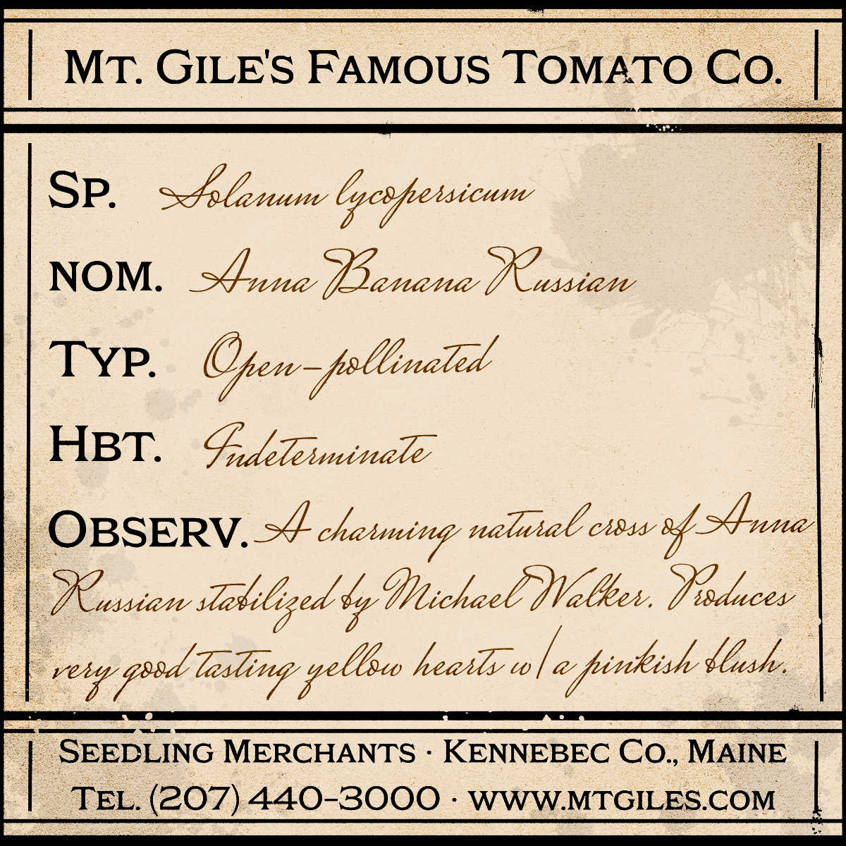 Depiction of a weathered vintage Mt. Gile's Famous Tomato Company specimen label with the following description: 

Anna Banana Russian - A charming natural cross of Anna Russian stabilized by Michael Walker. Produces very good tasting yellow hearts with a pinkish blush.