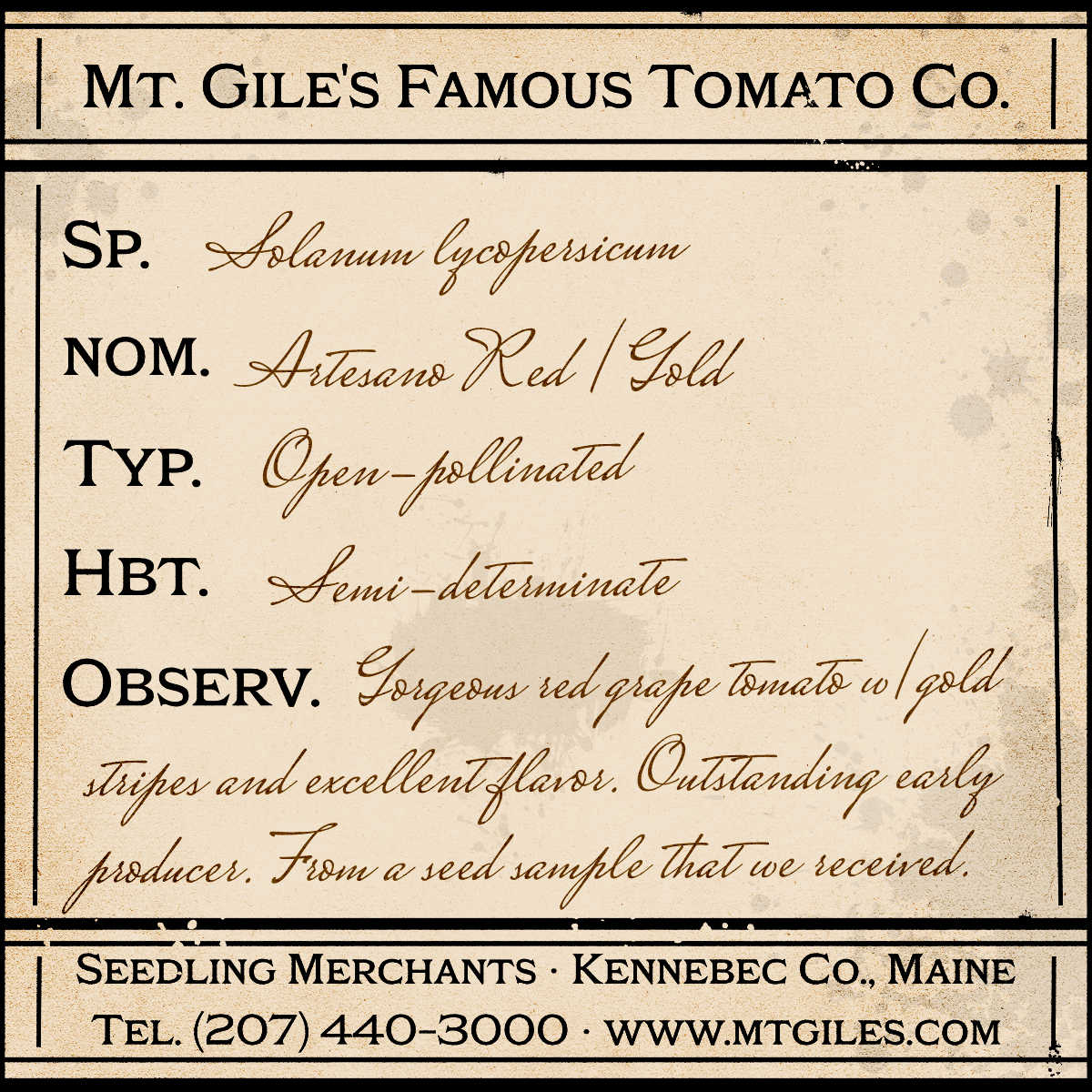 Depiction of a weathered vintage Mt. Gile's Famous Tomato Company specimen label with the following description: 

Artesano Red/Gold - Gorgeous red grape tomato with gold stripes and excellent flavor. Outstanding early producer. From a seed sample that we received.