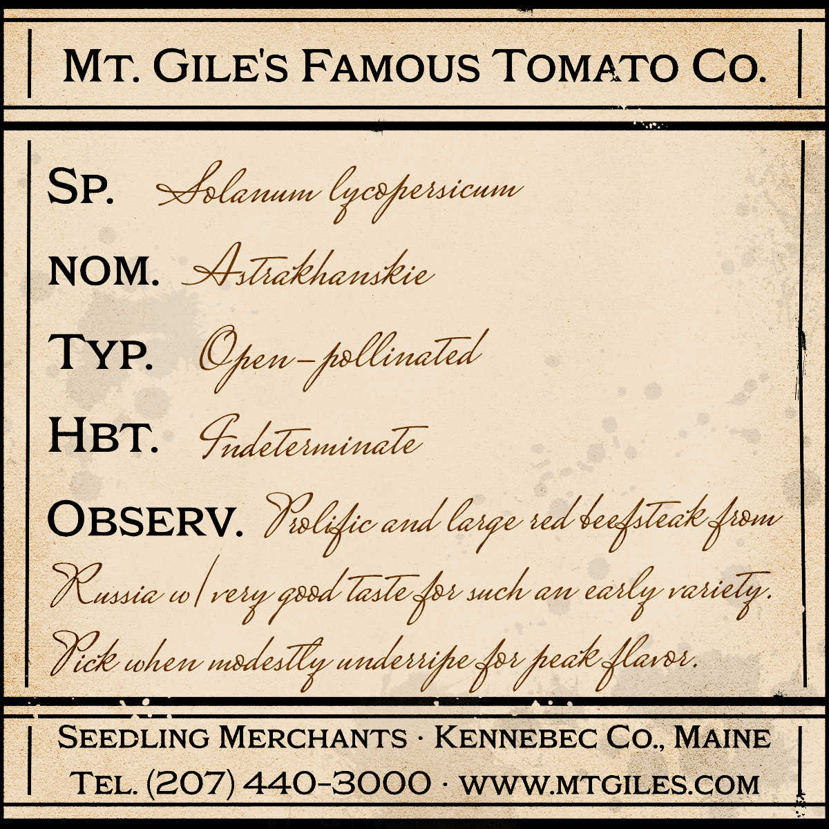 Depiction of a weathered vintage Mt. Gile's Famous Tomato Company specimen label with the following description: 

Astrakhanskie - Prolific and large red beefsteak from Russia with uncommonly good taste for such an early variety. Pick when modestly underripe for peak flavor.