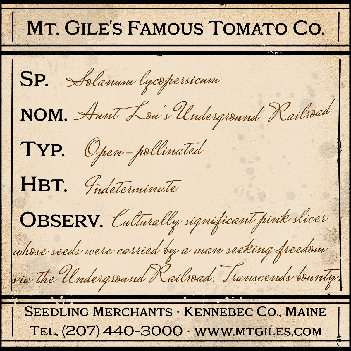 Depiction of a weathered vintage Mt. Gile's Famous Tomato Company specimen label with the following description: 

Aunt Lou's Underground Railroad - Culturally significant pink slicer whose seeds were carried by a man seeking freedom via the Underground Railroad. Transcends bounty.