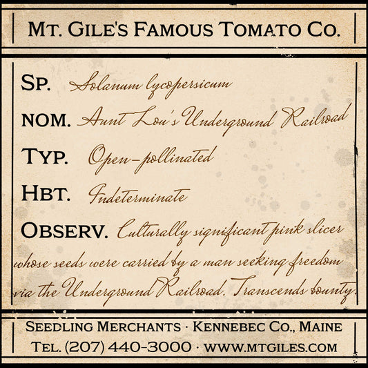 Depiction of a weathered vintage Mt. Gile's Famous Tomato Company specimen label with the following description: 

Aunt Lou's Underground Railroad - Culturally significant pink slicer whose seeds were carried by a man seeking freedom via the Underground Railroad. Transcends bounty.