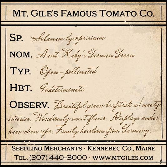 Depiction of a weathered vintage Mt. Gile's Famous Tomato Company specimen label with the following description: 

Aunt Ruby's German Green - Beautiful green beefsteak with meaty interior. Wondrously sweet flavor. Displays amber hues when ripe. Family heirloom from Germany.