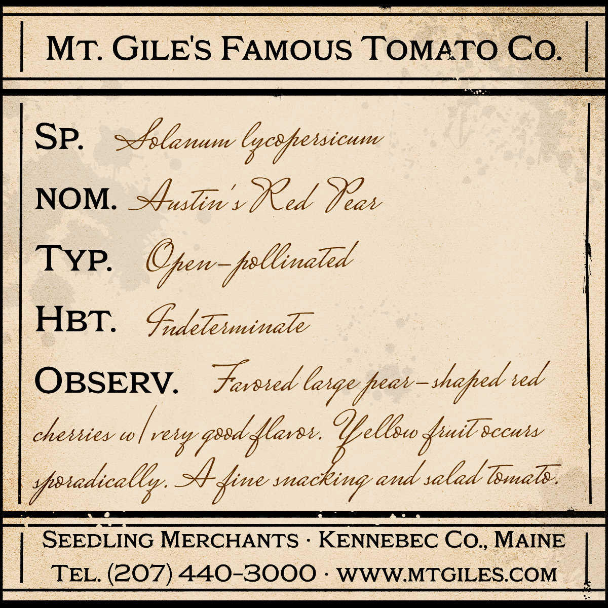 Depiction of a weathered vintage Mt. Gile's Famous Tomato Company specimen label with the following description: 

Austin's Red Pear - Favored large pear-shaped red cherries with very good flavor. Yellow fruit occurs sporadically. A fine snacking and salad tomato.
