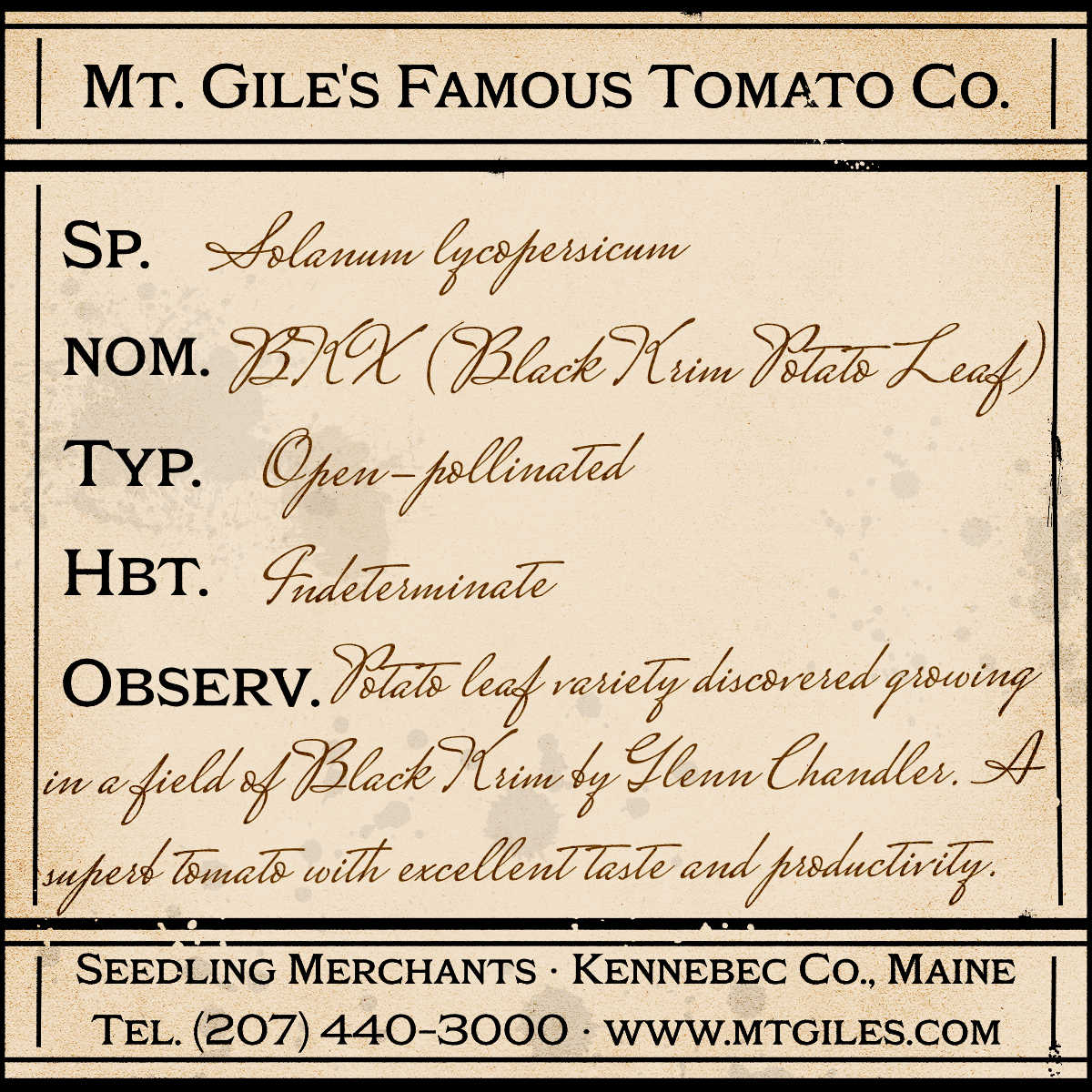 Depiction of a weathered vintage Mt. Gile's Famous Tomato Company specimen label with the following description: 

BKX (Black Krim Potato Leaf) - Potato leaf variety discovered growing in a field of Black Krim by Glenn Chandler. A superb tomato with excellent taste and productivity.