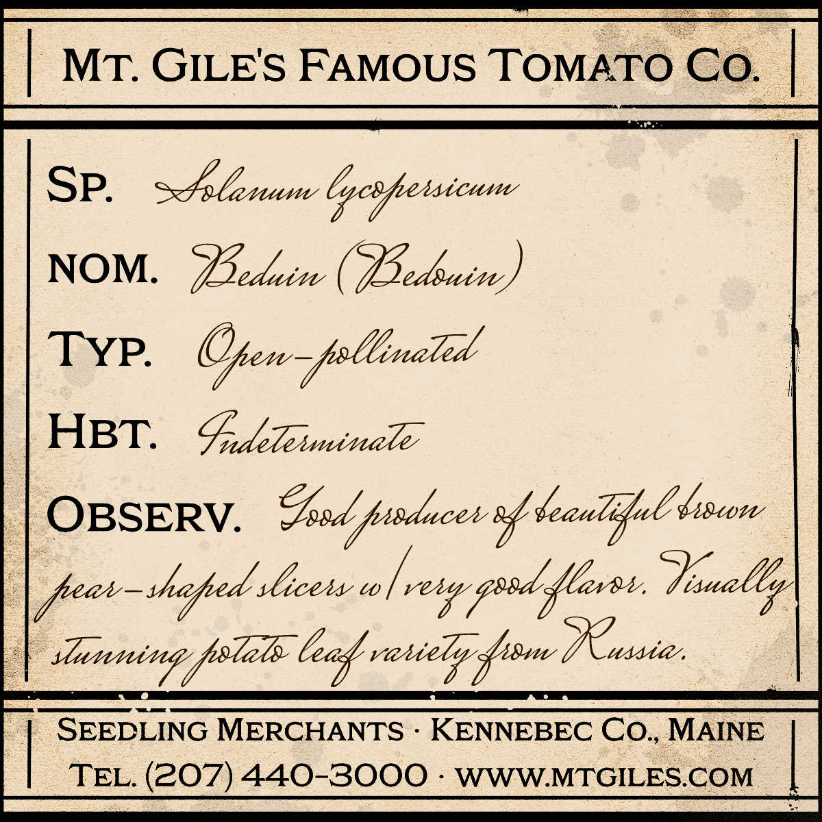 Depiction of a weathered vintage Mt. Gile's Famous Tomato Company specimen label with the following description: 

Beduin - Good producer of beautiful brown pear-shaped slicers with very good flavor. Visually stunning potato leaf variety from Russia.