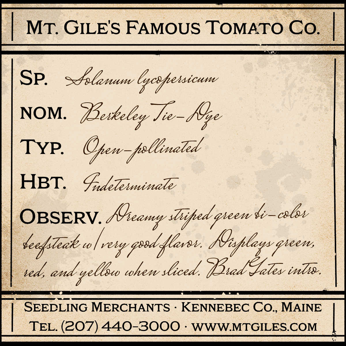 Depiction of a weathered vintage Mt. Gile's Famous Tomato Company specimen label with the following description: 

Berkeley Tie-Dye - Dreamy striped green bi-color beefsteak with very good flavor. Displays green, red, and yellow when sliced. Brad Gates intro.