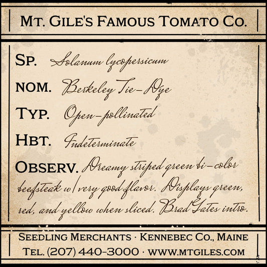 Depiction of a weathered vintage Mt. Gile's Famous Tomato Company specimen label with the following description: 

Berkeley Tie-Dye - Dreamy striped green bi-color beefsteak with very good flavor. Displays green, red, and yellow when sliced. Brad Gates intro.