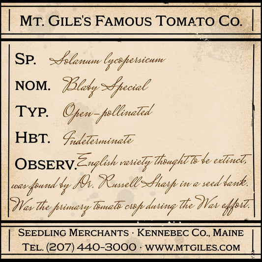 Depiction of a weathered vintage Mt. Gile's Famous Tomato Company specimen label with the following description: 

Blaby Special - English variety thought to be extinct, was found by Dr. Russell Sharp in a seed bank. Was the primary tomato crop during the War effort.