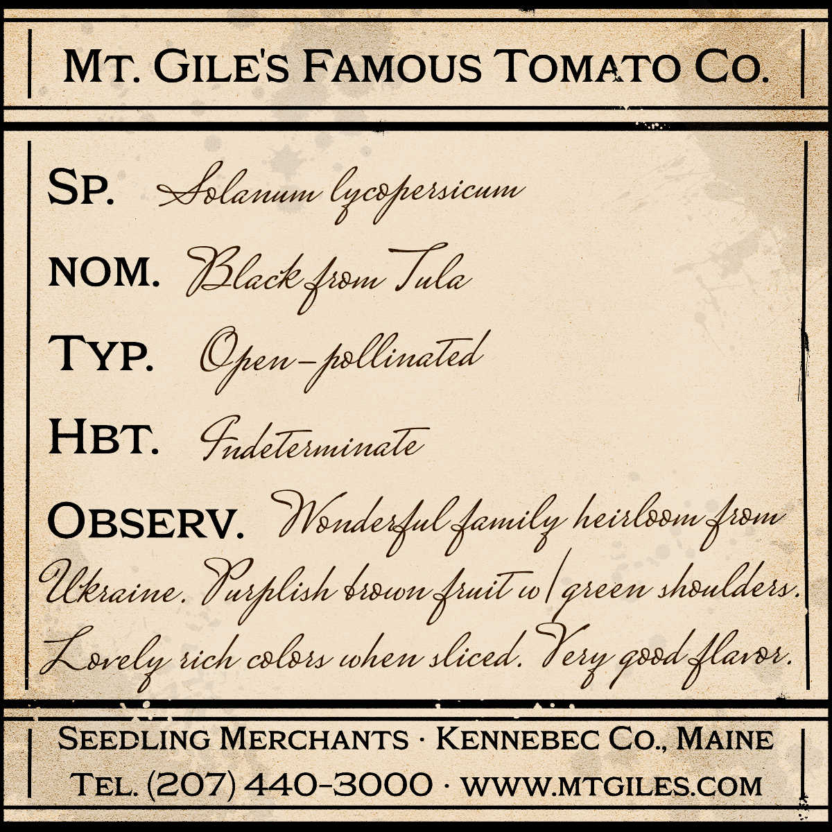 Depiction of a weathered vintage Mt. Gile's Famous Tomato Company specimen label with the following description: 

Black from Tula - Wonderful family heirloom from Ukraine. Purplish brown fruit with green shoulders. Lovely rich colors when sliced. Very good flavor.