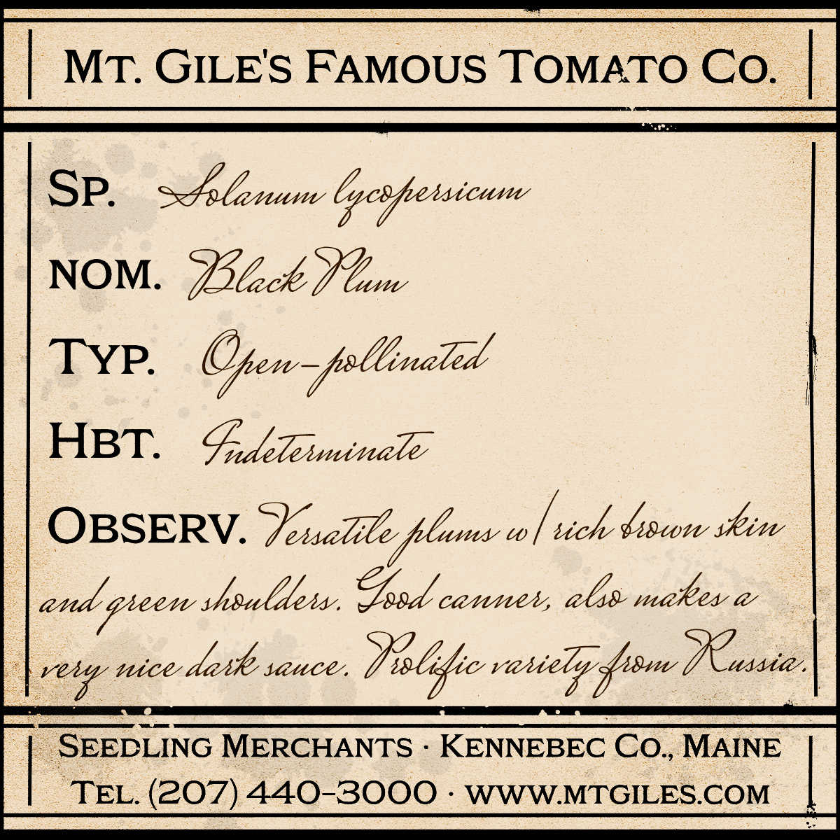 Depiction of a weathered vintage Mt. Gile's Famous Tomato Company specimen label with the following description: 

Black Plum - Versatile plums with rich brown skin and green shoulders. Good canner, also makes a very nice dark sauce. Prolific variety from Russia.