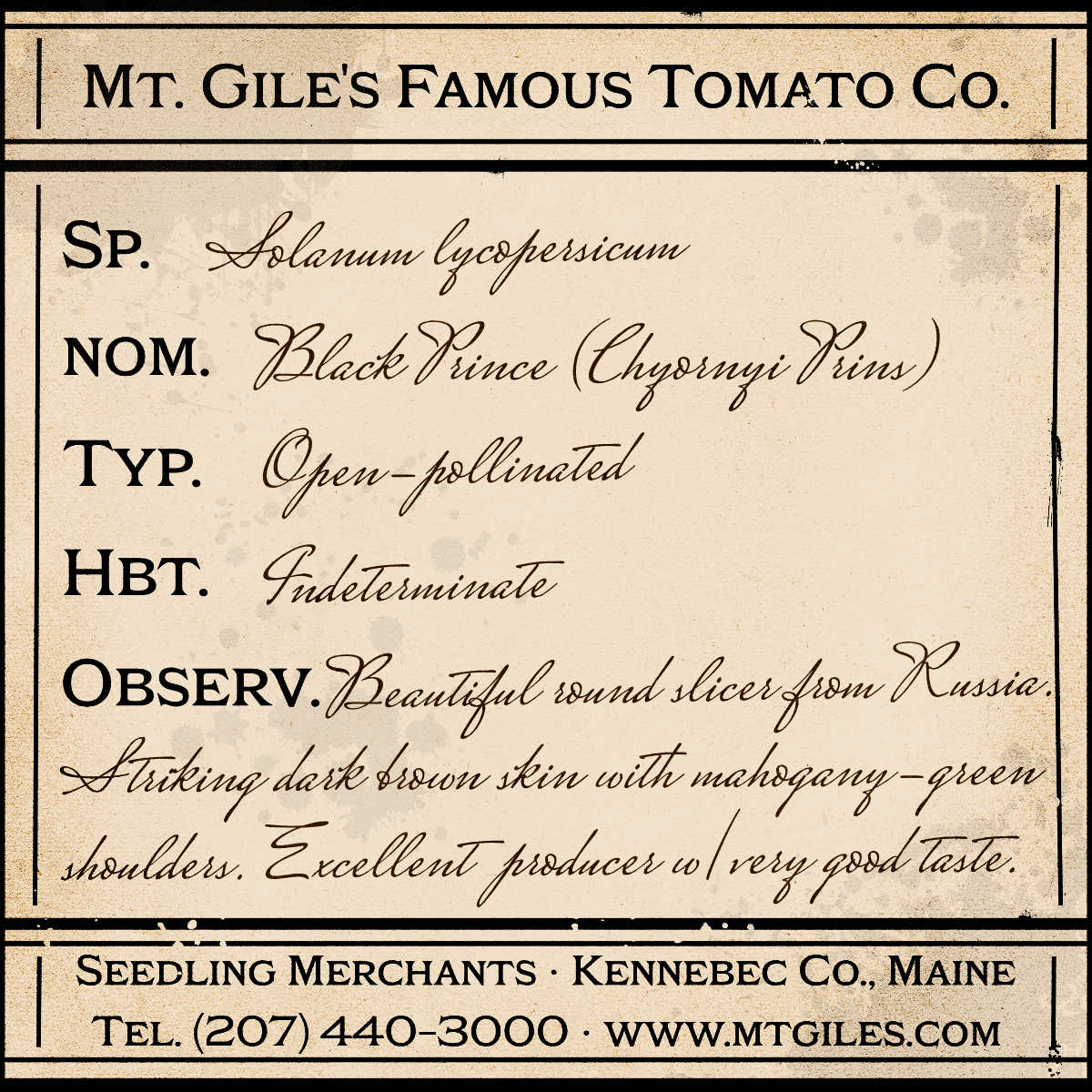 Depiction of a weathered vintage Mt. Gile's Famous Tomato Company specimen label with the following description: 

Black Prince - Beautiful round slicer from Russia. Striking dark brown skin with mahogany/green shoulders. Excellent producer with very good taste.