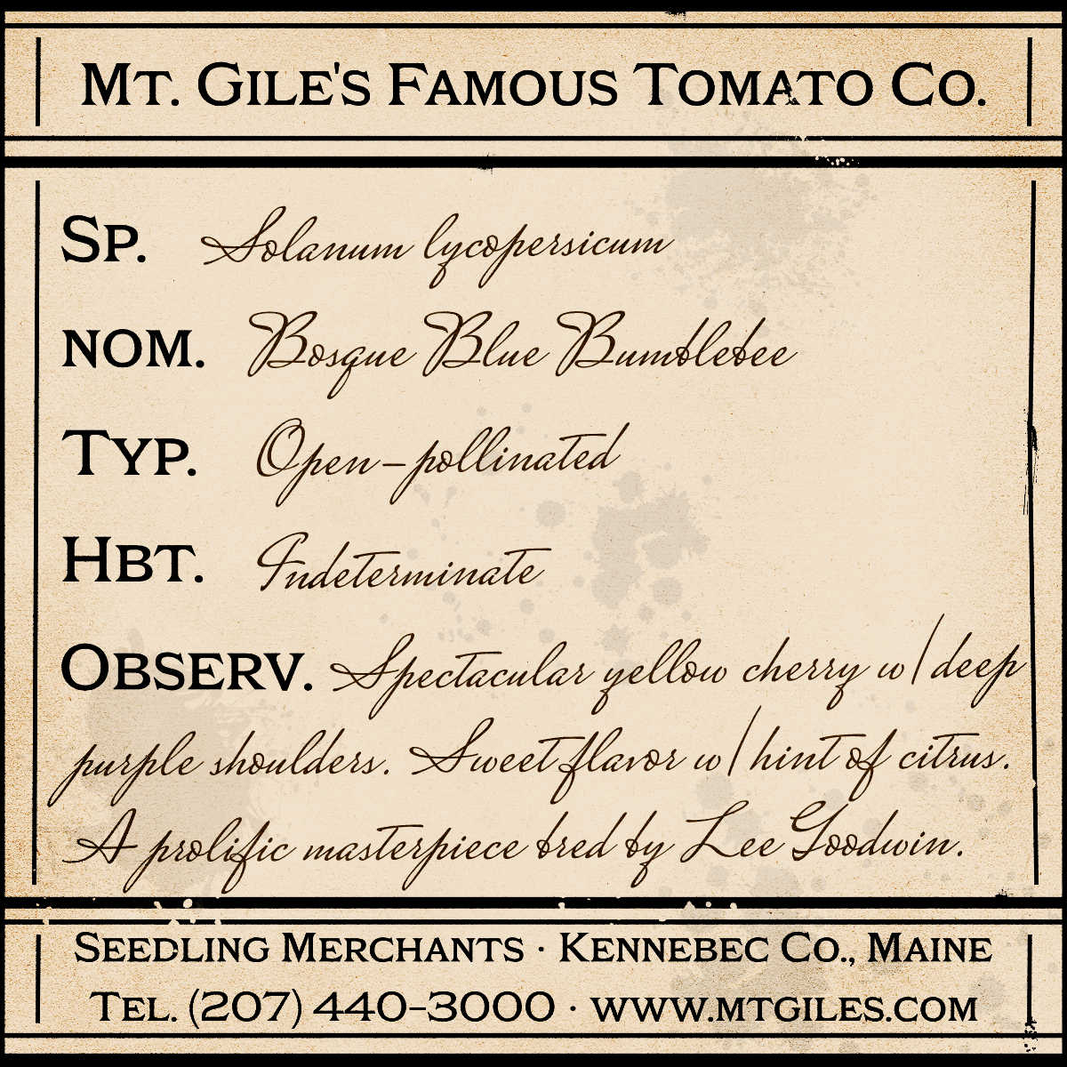 Depiction of a weathered vintage Mt. Gile's Famous Tomato Company specimen label with the following description: 

Bosque Blue Bumblebee - Spectacular yellow cherry with deep purple shoulders. Sweet flavor with a hint of citrus. A prolific masterpiece bred by Lee Goodwin.