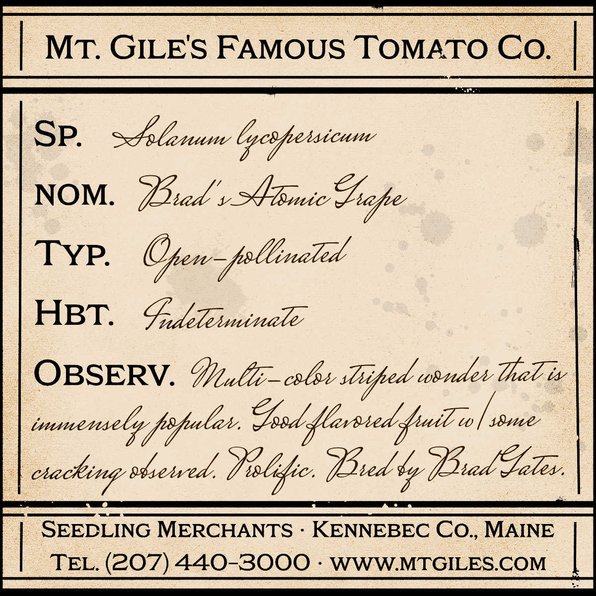 Depiction of a weathered vintage Mt. Gile's Famous Tomato Company specimen label with the following description: 

Brad's Atomic Grape - Multi-color striped wonder that is immensely popular. Good flavored fruit with some cracking observed. Prolific. Bred by Brad Gates.