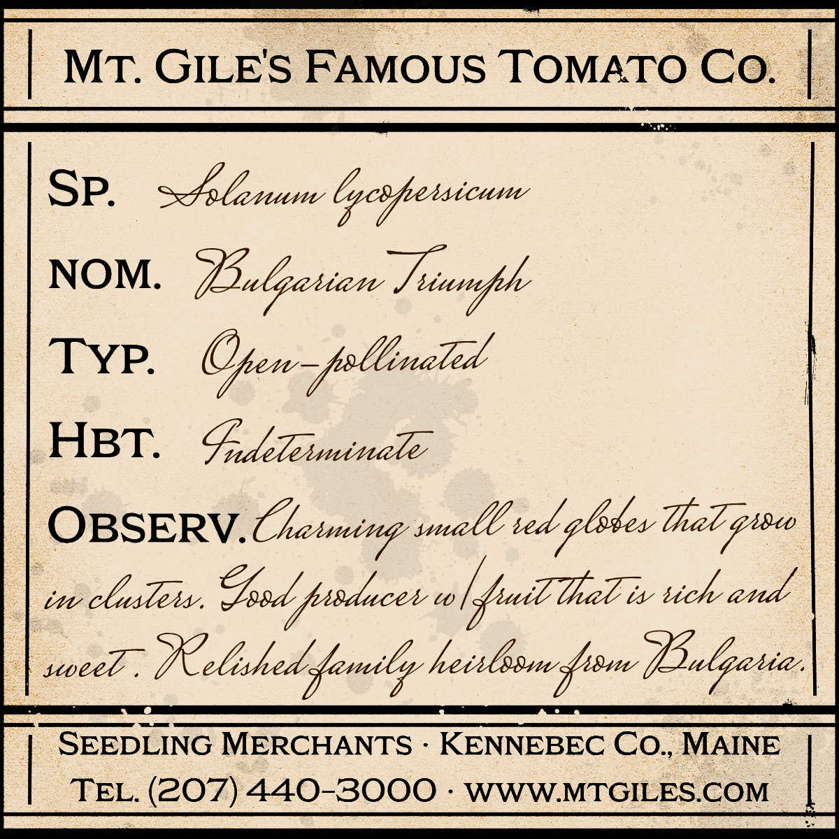 Depiction of a weathered vintage Mt. Gile's Famous Tomato Company specimen label with the following description: 

Bulgarian Triumph - Charming small red globes that grow in clusters. Good producer with fruit that is rich and sweet. Relished family heirloom from Bulgaria.