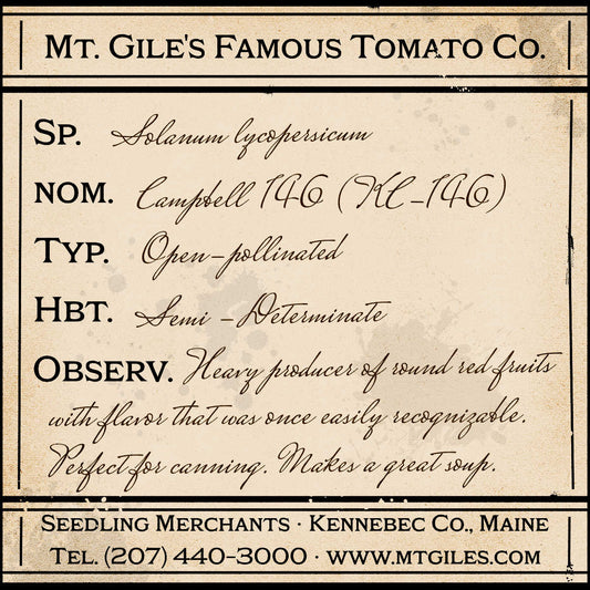 Depiction of a weathered vintage Mt. Gile's Famous Tomato Company specimen label with the following description: 

Campbell 146 - Heavy producer of round red fruits with flavor that was once easily recognizable. Perfect for canning. Makes a great soup.