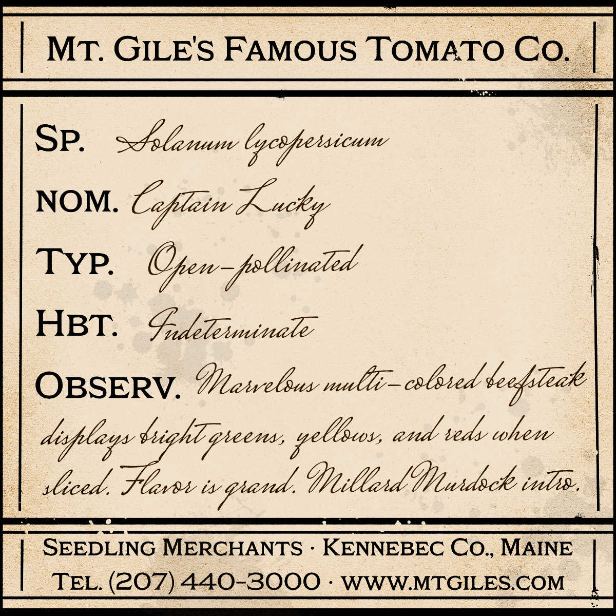 Depiction of a weathered vintage Mt. Gile's Famous Tomato Company specimen label with the following description: 

Captain Lucky - Marvelous multi-colored beefsteak displays bright greens, yellows, and reds when sliced. Flavor is grand. Millard Murdock introduction.