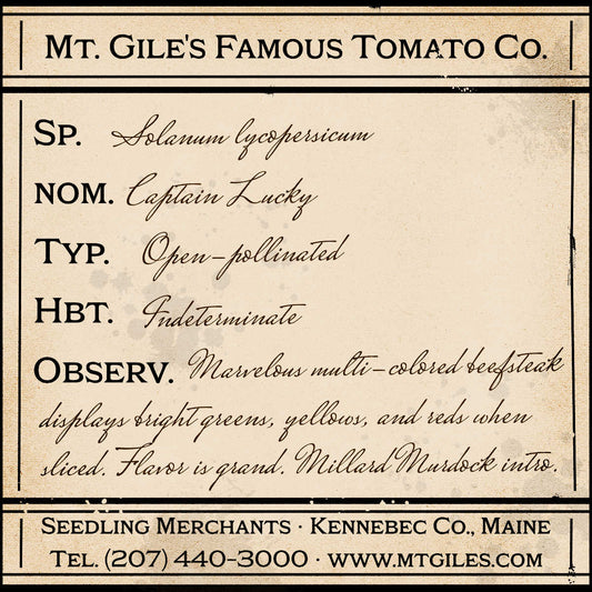 Depiction of a weathered vintage Mt. Gile's Famous Tomato Company specimen label with the following description: 

Captain Lucky - Marvelous multi-colored beefsteak displays bright greens, yellows, and reds when sliced. Flavor is grand. Millard Murdock introduction.