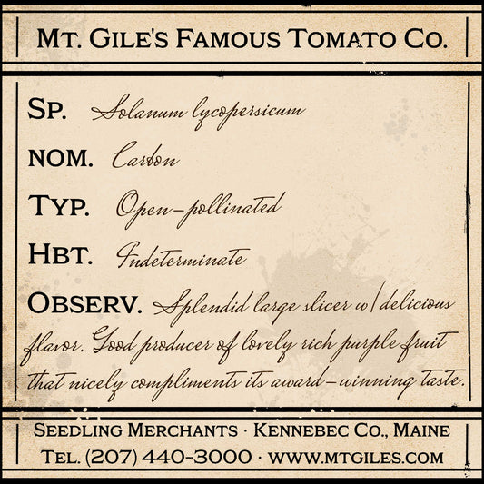 Depiction of a weathered vintage Mt. Gile's Famous Tomato Company specimen label with the following description: 

Carbon - Splendid large slicer with delicious flavor. Good producer of lovely rich purple fruit that nicely compliments its award-winning taste.