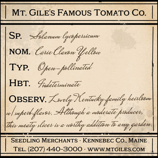 Depiction of a weathered vintage Mt. Gile's Famous Tomato Company specimen label with the following description: 

Carie Claxon Yellow - Lovely Kentucky family heirloom with superb flavor. Although a moderate producer, this meaty slicer is a worthy addition to any garden.