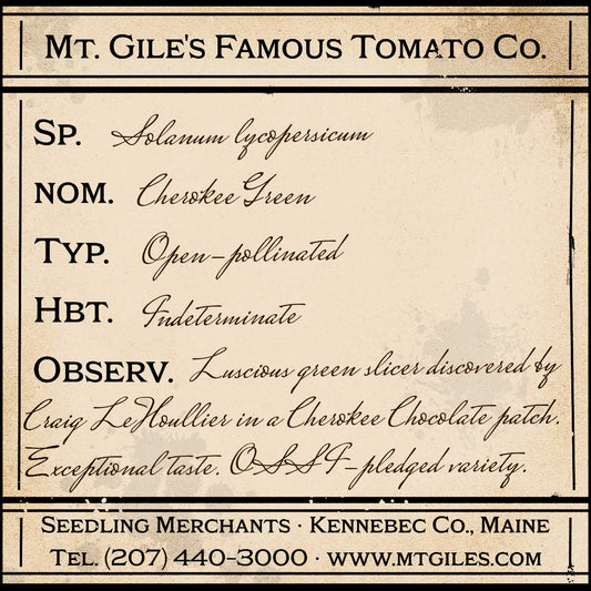 Depiction of a weathered vintage Mt. Gile's Famous Tomato Company specimen label with the following description: 

Cherokee Green - Luscious green slicer discovered by Craig LeHoullier in a Cherokee Chocolate patch. Exceptional taste. OSSI-pledged variety.